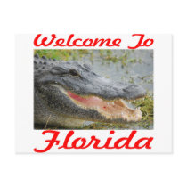 Welcome To Florida Gator Post Cards