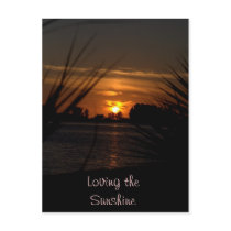 Welcome to Florida Postcards