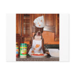 Welcome to my kitchen post cards
