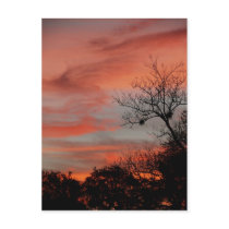 Welcome To My Sky Post Cards
