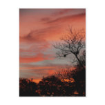 Welcome To My Sky postcards