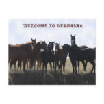 Welcome To Nebraska Postcard
