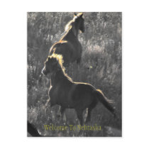 Welcome To Nebraska Postcard