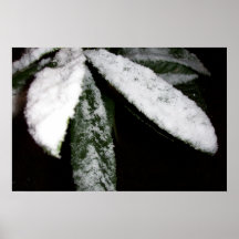 Welcome to Sunny S.C. 2/12/2010 by SRF Print