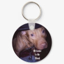 Welcome to the Hood, Dogs, Hat, Chain, Funny keychains