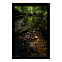 Welcome to the jungle posters