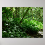 Welcome to the jungle! print