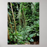 Welcome to the Jungle Posters