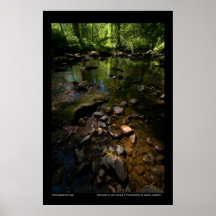 Welcome to the jungle print
