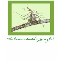 Welcome to the Jungle! t-shirts
