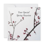 Welcoming Spring/Oriental Zen All-Occasion Flora Custom Announcement