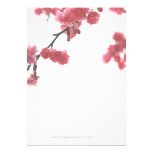 Welcoming Spring Sakura Double Happiness Wedding Custom Announcements