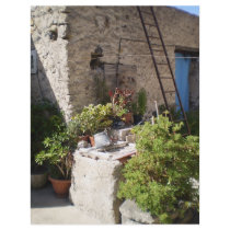 Well and Plants in Southern Italy Flyers