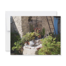 Well and Plants in Southern Italy invitations