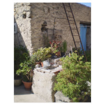 Well and Plants in Southern Italy letterhead
