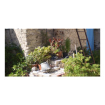 Well and Plants in Southern Italy photo cards