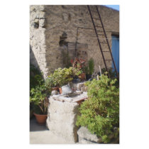 Well and Plants in Southern Italy stationery