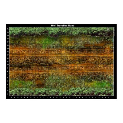 Well Travelled Road - Battle Map Poster by strawberryJAMM
