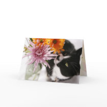 Well Wishes cards by reneespade Well Wishes cards