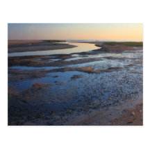 Wellfleet Bay Wildlife Sanctuary Cape Cod Tidal Postcard