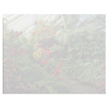 Wellington Botanical Gardens flowers Letterhead Template