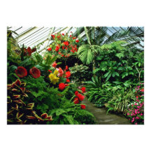Wellington Botanical Gardens Personalized Invitation