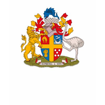 Wellington Coat of Arms T-shirt by FlagTshirts