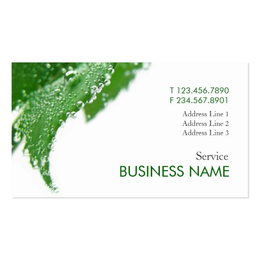 Wellness Fresh Care Business Card Template (front side)