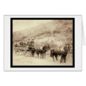 Wells Fargo Deadwood Treasure Wagon SD 1890 cards by lc_grabill Wells Fargo Deadwood Treasure Wagon SD 1890 cards