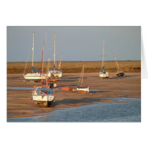 Wells Next Sea Boats cards