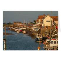 Wells Next Sea cards