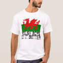 WELSH BOYS DO IT BETTER t-shirts
