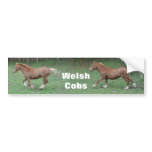 Welsh cobs sticker bumper sticker