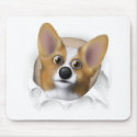 Welsh Corgi 1 Busting Out mousepad