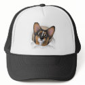 Welsh Corgi 2 Busting Out hat