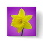Welsh Daffodil - III Button