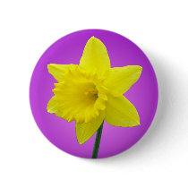 Welsh Daffodil - III - Round Buttons