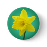 Welsh Daffodil - IV Pins