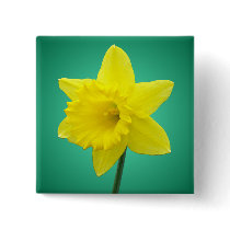 Welsh Daffodil - IV - Square buttons