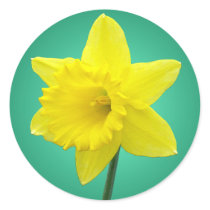 Welsh Daffodil - IV stickers by artberry Welsh Daffodil - IV stickers