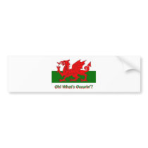 welsh dragon bumper sticker