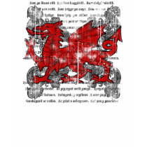 Welsh Dragon Kids' Dark Shirt by saundejm Welsh Dragon Kids' Dark Shirt