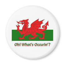welsh dragon fridge magnets