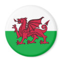 Welsh Dragon magnets by designs4you Welsh Dragon magnets