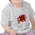 Welsh dragon t-shirts