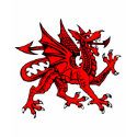 Welsh dragon t-shirts