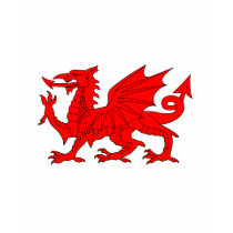 Welsh Dragon t-shirts by VanityBarn Welsh Dragon t-shirts