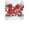 Welsh Dragon Women's Light Shirt