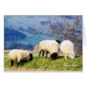 WELSH FARM GIRLS UK cards by thewildside WELSH FARM GIRLS UK cards