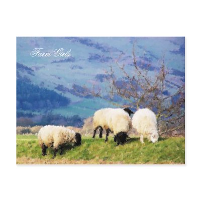 WELSH FARM GIRLS UK POSTCARD by thewildside